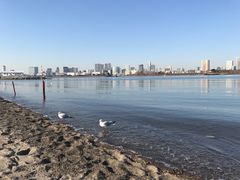 -台场海滨公园船码头