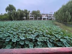 -古塔公园