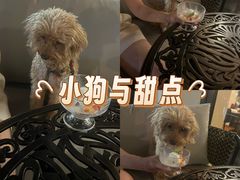 -意庐 La Casa(国际大厦店)