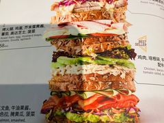 -Wagas沃歌斯(正大乐城店)