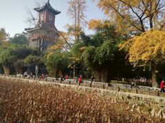 -四川大学(华西校区)