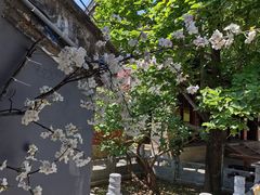 -潭柘寺景区