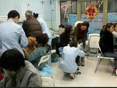 -纳吉亚猫专科动物诊疗中心(蒋宅口分院)