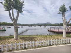-石家庄市植物园