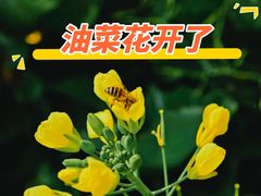 -中国天府农业博览园