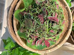 -洞庭土菜馆(天河北总店)