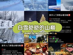 -中旅松花湖滑雪场