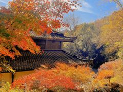 -虎跑公园