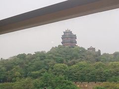 -七欣天香辣蟹火锅(南京建宁路大观天地店)