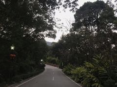 -广州市流溪河国家森林公园