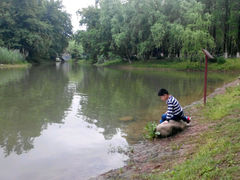 android_upload_pic-解放公园