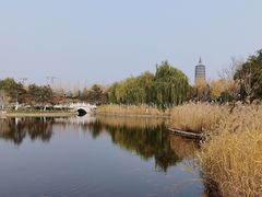 -西海子公园