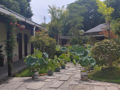 -湘力力小院·鱼汤泡饭(枫林路店)