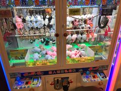 -PAWTOY爪e玩偶店(天兴罗斯福店)