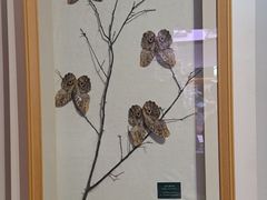 -陕西自然博物馆