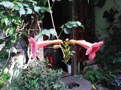 -斯多格书乡(北京大学畅春园店)