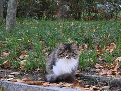 -百里川私房菜(丰登北路店)