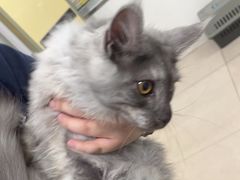 -佳雯宠物医院·皮肤科·内外科(春晓路分院)