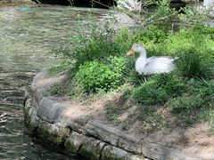 -水磨沟公园