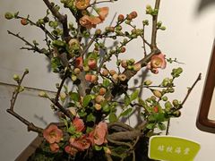 -迎泽公园