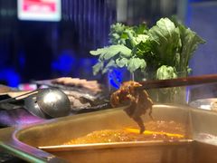 -王家渡火锅店(棕榈泉店)