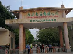 -广东茂名森林公园