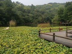 -天目湖山水园