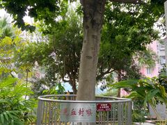 -广州神农草堂中医药博物馆