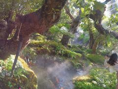 -Chom Cafe and Restaurant