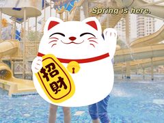 -三亚湾红树林度假世界(木棉酒店)