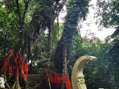-七仙岭温泉国家森林公园