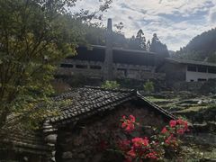 -MOJ coffee(瓯海泽雅水碓坑店)