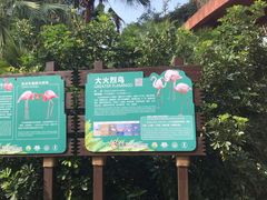 -海南热带野生动植物园