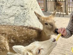 -水上乐园·欢乐世界