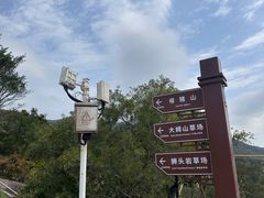 -大姆山草场