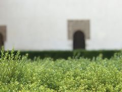 -阿尔罕布拉宫