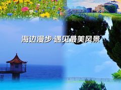 -小麦岛公园