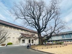 -东京国立博物馆