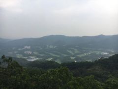 -大屏嶂森林公园
