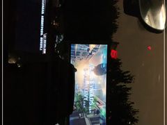 -枫花园汽车电影院(朝阳公园店)