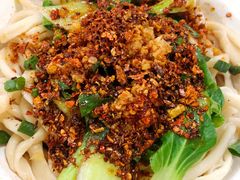牛肉油泼拉条子-马振面(小皮院店)