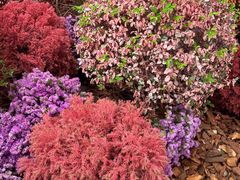 -仙海旅游度假区