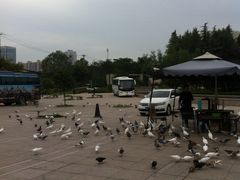 -陕西自然博物馆