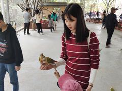 -广东茂名森林公园