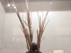 -印尼国家博物馆