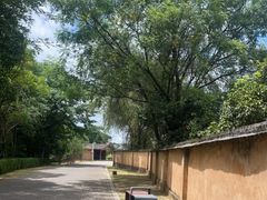 -共和国摇篮旅游区-红井景区