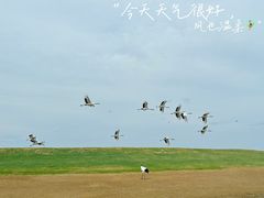 -黑龙江扎龙生态旅游区