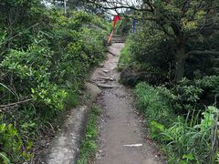 -大罗山风景区
