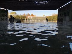 -春晖园度假酒店温泉