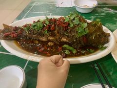 -杨记小炒老店